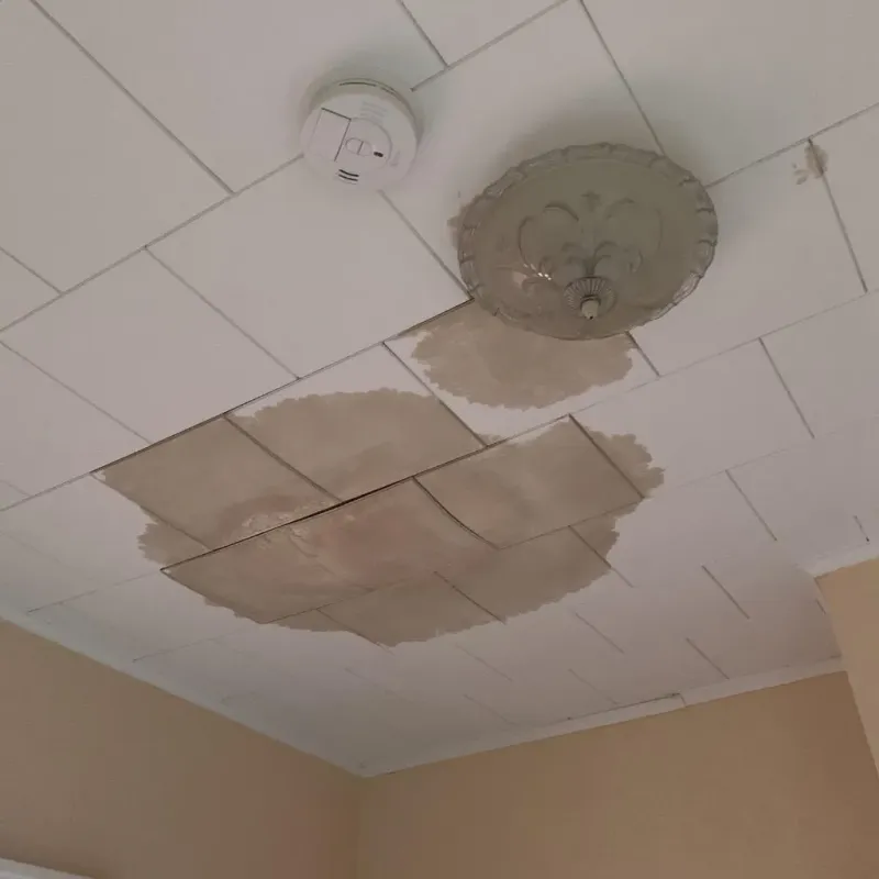 Ceiling Water Damage Repair in Dock Junction, GA